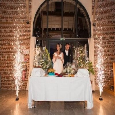 DJ soirée L'art scène animation